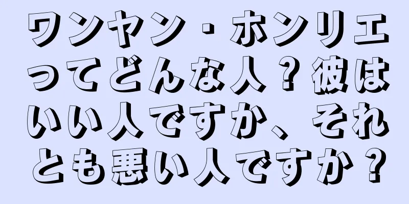 ワンヤン・ホンリエってどんな人？彼はいい人ですか、それとも悪い人ですか？