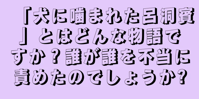 「犬に噛まれた呂洞賓」とはどんな物語ですか？誰が誰を不当に責めたのでしょうか?
