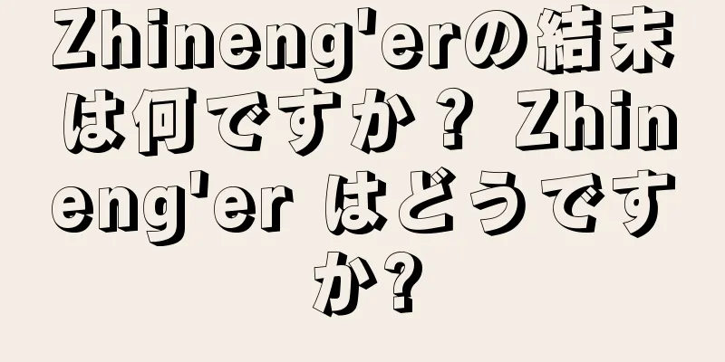 Zhineng'erの結末は何ですか？ Zhineng'er はどうですか?
