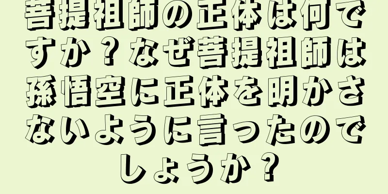 菩提祖師の正体は何ですか？なぜ菩提祖師は孫悟空に正体を明かさないように言ったのでしょうか？