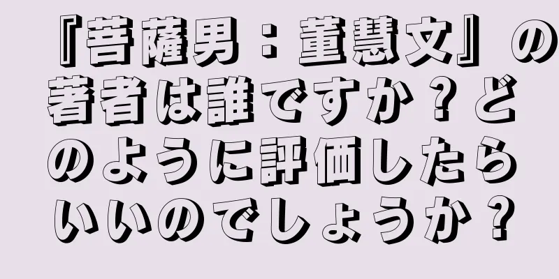 『菩薩男：董慧文』の著者は誰ですか？どのように評価したらいいのでしょうか？