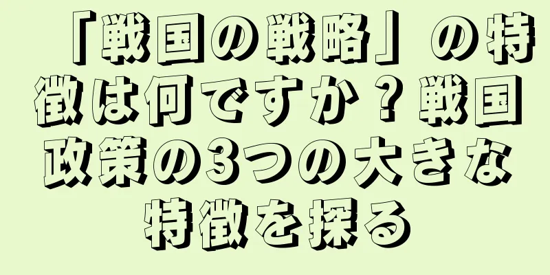 「戦国の戦略」の特徴は何ですか？戦国政策の3つの大きな特徴を探る