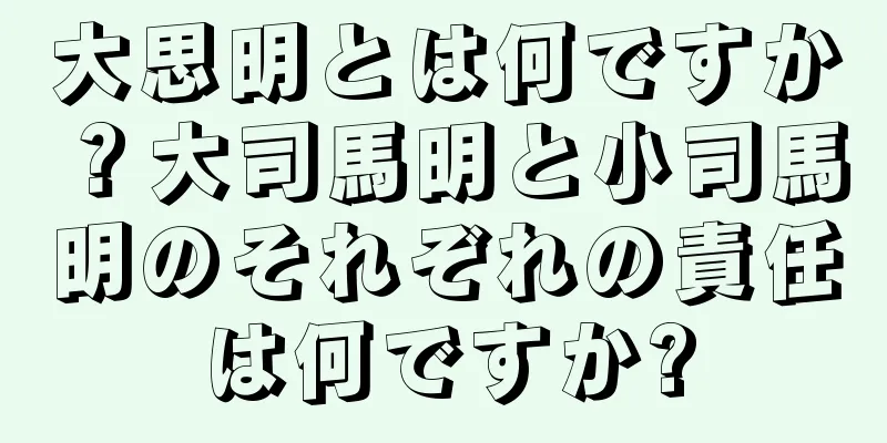 大思明とは何ですか？大司馬明と小司馬明のそれぞれの責任は何ですか?