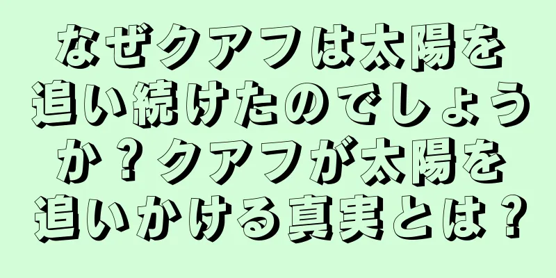 なぜクアフは太陽を追い続けたのでしょうか？クアフが太陽を追いかける真実とは？