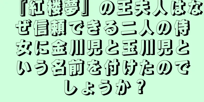 『紅楼夢』の王夫人はなぜ信頼できる二人の侍女に金川児と玉川児という名前を付けたのでしょうか？