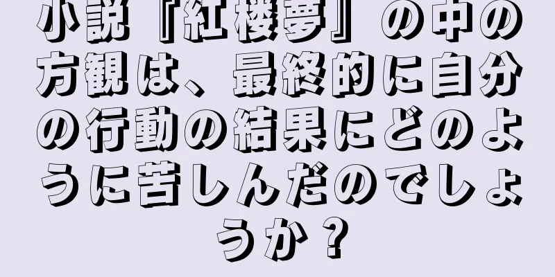 小説『紅楼夢』の中の方観は、最終的に自分の行動の結果にどのように苦しんだのでしょうか？
