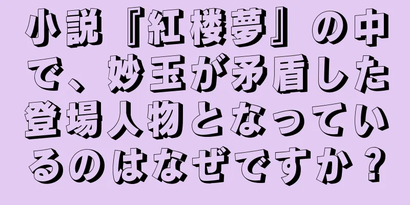 小説『紅楼夢』の中で、妙玉が矛盾した登場人物となっているのはなぜですか？