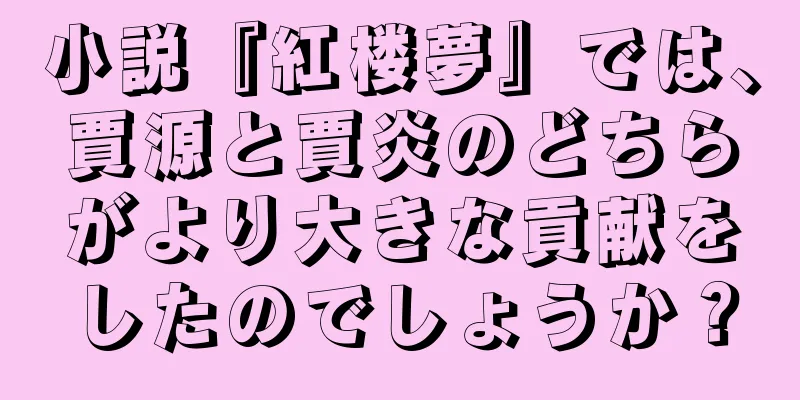 小説『紅楼夢』では、賈源と賈炎のどちらがより大きな貢献をしたのでしょうか？
