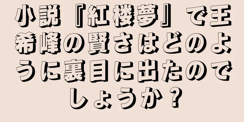 小説『紅楼夢』で王希峰の賢さはどのように裏目に出たのでしょうか？