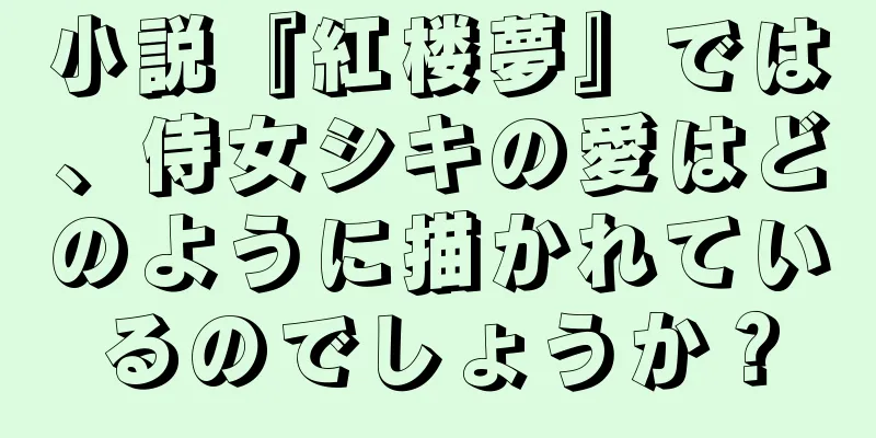 小説『紅楼夢』では、侍女シキの愛はどのように描かれているのでしょうか？