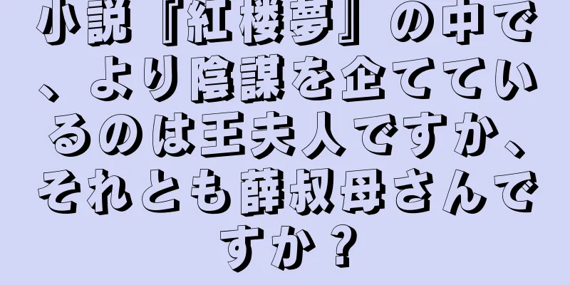 小説『紅楼夢』の中で、より陰謀を企てているのは王夫人ですか、それとも薛叔母さんですか？
