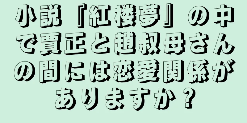 小説『紅楼夢』の中で賈正と趙叔母さんの間には恋愛関係がありますか？