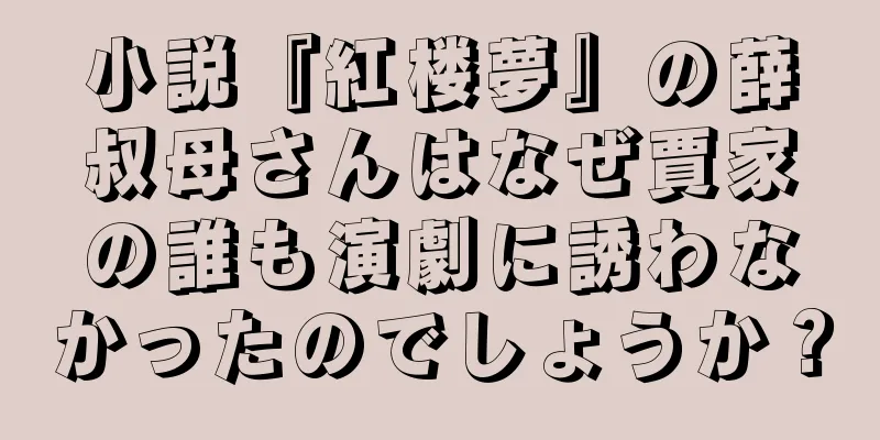 小説『紅楼夢』の薛叔母さんはなぜ賈家の誰も演劇に誘わなかったのでしょうか？