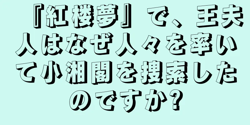 『紅楼夢』で、王夫人はなぜ人々を率いて小湘閣を捜索したのですか?