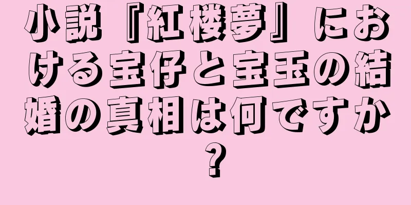 小説『紅楼夢』における宝仔と宝玉の結婚の真相は何ですか？