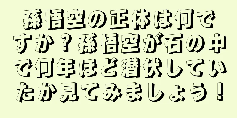 孫悟空の正体は何ですか？孫悟空が石の中で何年ほど潜伏していたか見てみましょう！