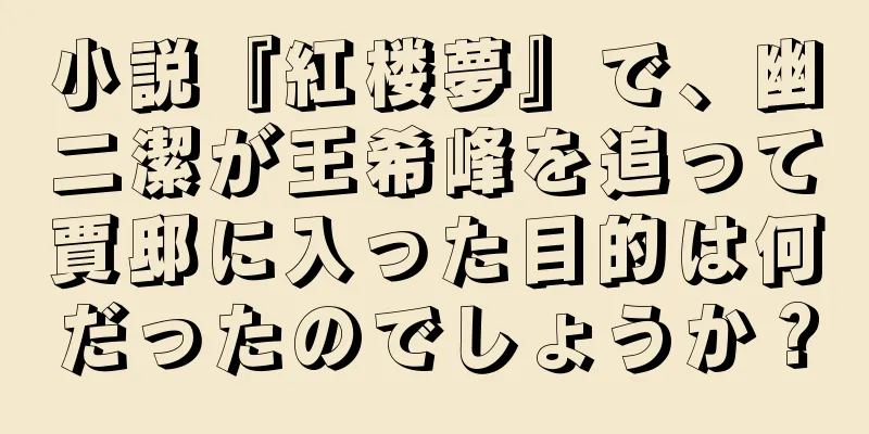 小説『紅楼夢』で、幽二潔が王希峰を追って賈邸に入った目的は何だったのでしょうか？