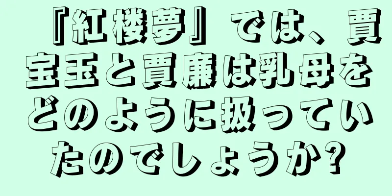 『紅楼夢』では、賈宝玉と賈廉は乳母をどのように扱っていたのでしょうか?