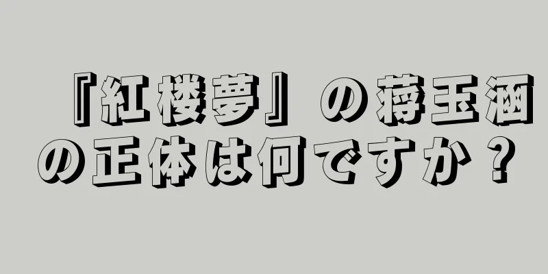 『紅楼夢』の蒋玉涵の正体は何ですか？