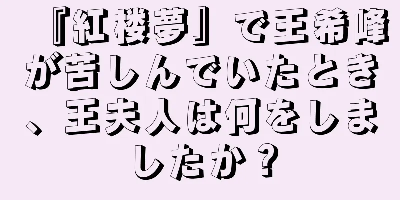 『紅楼夢』で王希峰が苦しんでいたとき、王夫人は何をしましたか？