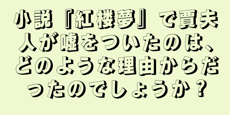小説『紅楼夢』で賈夫人が嘘をついたのは、どのような理由からだったのでしょうか？