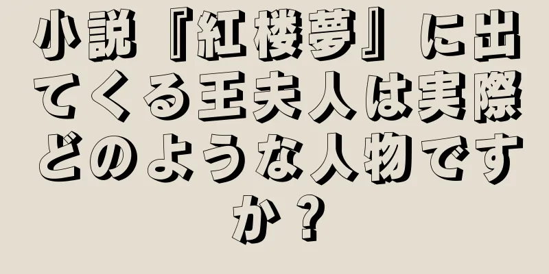 小説『紅楼夢』に出てくる王夫人は実際どのような人物ですか？