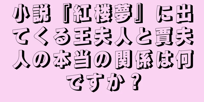 小説『紅楼夢』に出てくる王夫人と賈夫人の本当の関係は何ですか？
