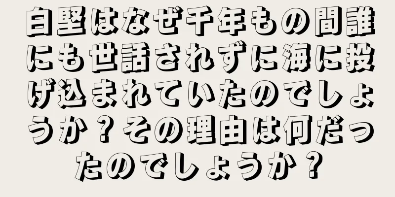 白堅はなぜ千年もの間誰にも世話されずに海に投げ込まれていたのでしょうか？その理由は何だったのでしょうか？