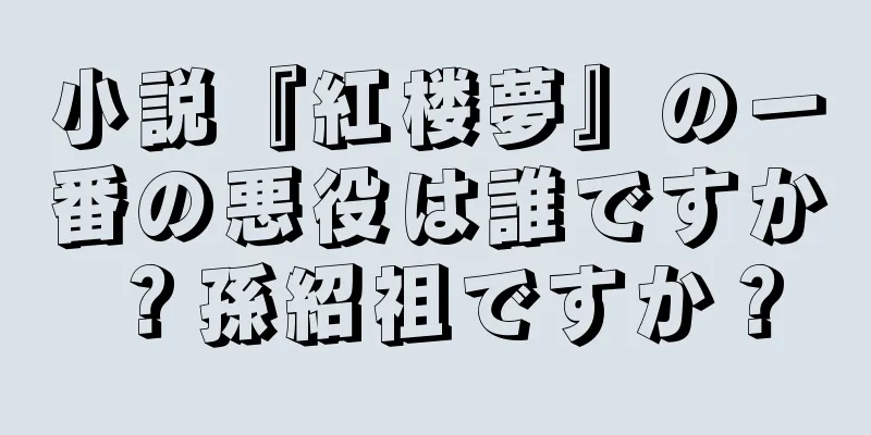 小説『紅楼夢』の一番の悪役は誰ですか？孫紹祖ですか？