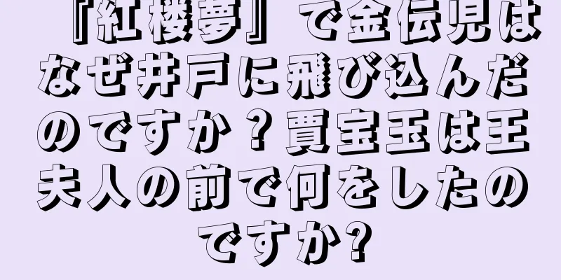 『紅楼夢』で金伝児はなぜ井戸に飛び込んだのですか？賈宝玉は王夫人の前で何をしたのですか?