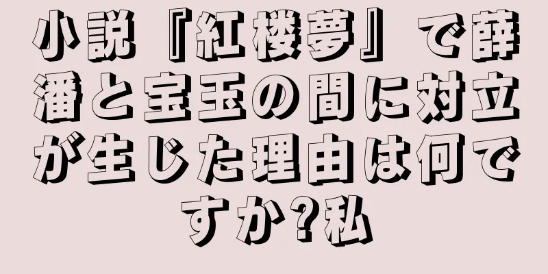小説『紅楼夢』で薛潘と宝玉の間に対立が生じた理由は何ですか?私
