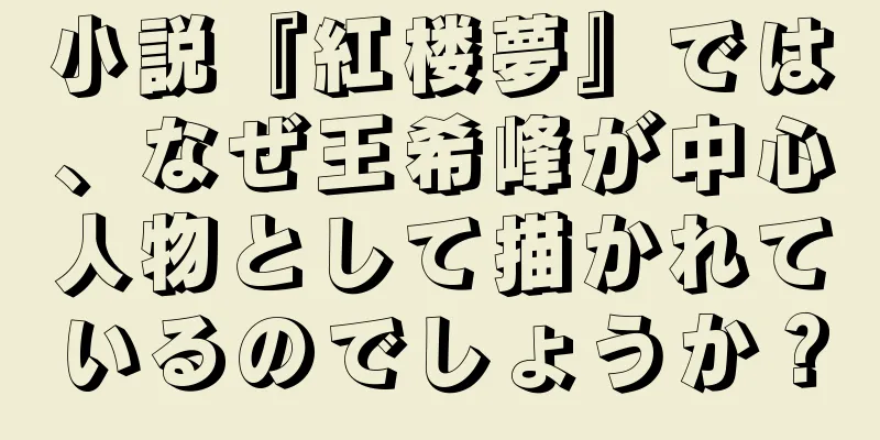 小説『紅楼夢』では、なぜ王希峰が中心人物として描かれているのでしょうか？