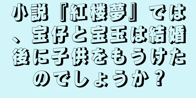 小説『紅楼夢』では、宝仔と宝玉は結婚後に子供をもうけたのでしょうか？