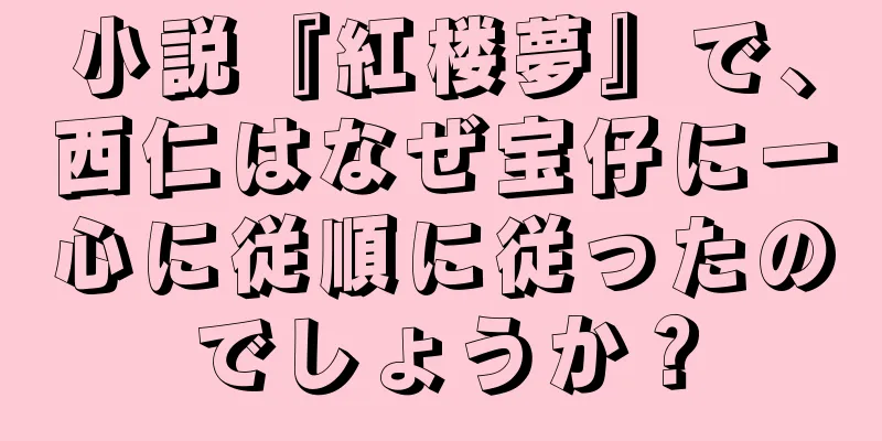 小説『紅楼夢』で、西仁はなぜ宝仔に一心に従順に従ったのでしょうか？