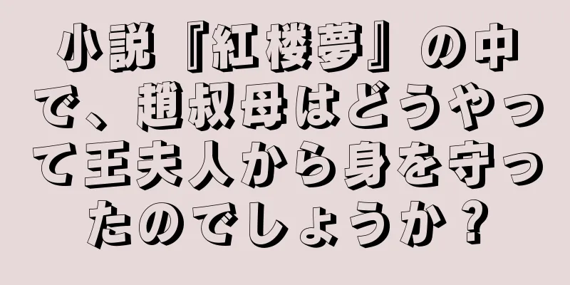 小説『紅楼夢』の中で、趙叔母はどうやって王夫人から身を守ったのでしょうか？