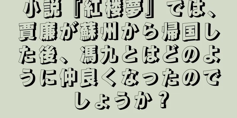 小説『紅楼夢』では、賈廉が蘇州から帰国した後、馮九とはどのように仲良くなったのでしょうか？
