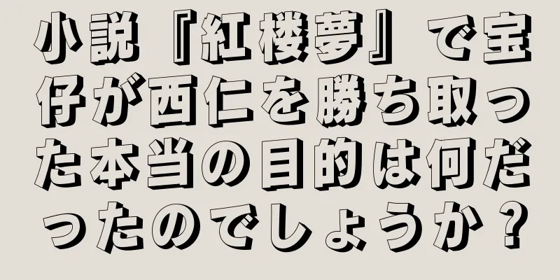 小説『紅楼夢』で宝仔が西仁を勝ち取った本当の目的は何だったのでしょうか？