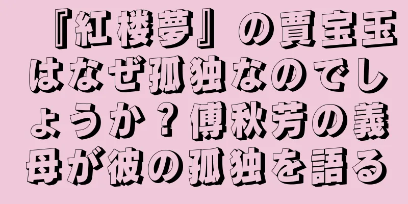 『紅楼夢』の賈宝玉はなぜ孤独なのでしょうか？傅秋芳の義母が彼の孤独を語る
