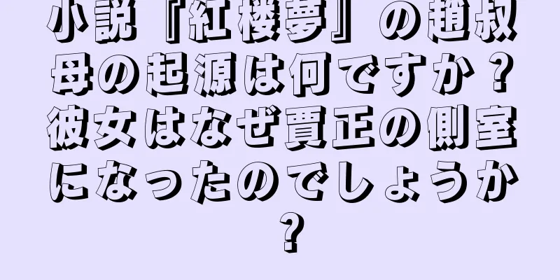 小説『紅楼夢』の趙叔母の起源は何ですか？彼女はなぜ賈正の側室になったのでしょうか？