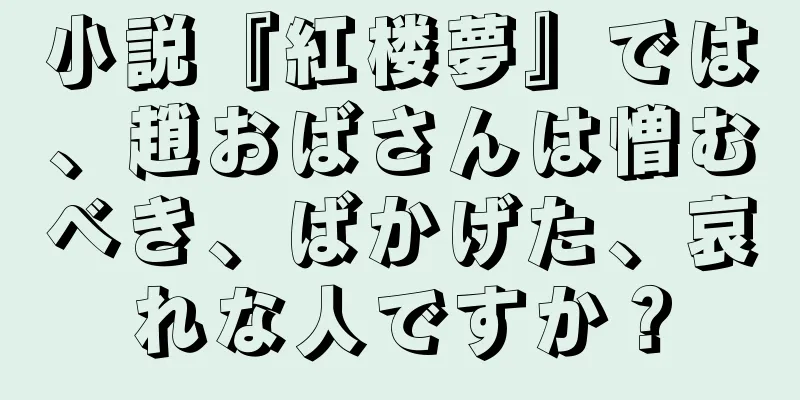 小説『紅楼夢』では、趙おばさんは憎むべき、ばかげた、哀れな人ですか？
