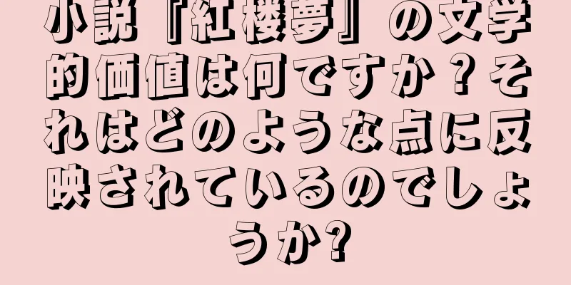 小説『紅楼夢』の文学的価値は何ですか？それはどのような点に反映されているのでしょうか?