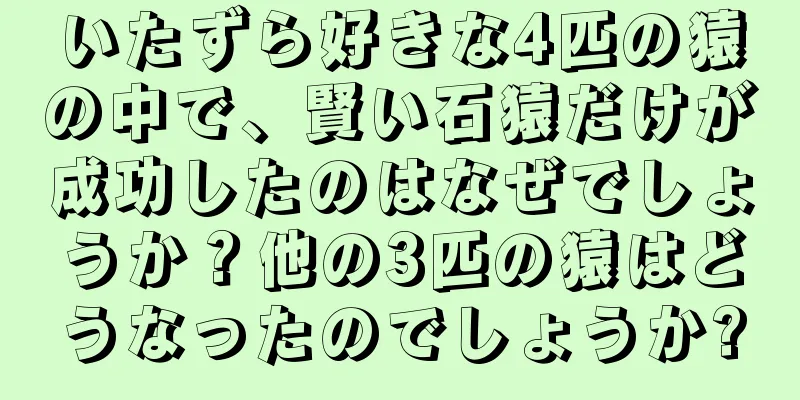 いたずら好きな4匹の猿の中で、賢い石猿だけが成功したのはなぜでしょうか？他の3匹の猿はどうなったのでしょうか?
