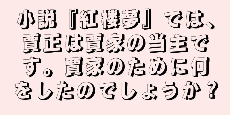 小説『紅楼夢』では、賈正は賈家の当主です。賈家のために何をしたのでしょうか？