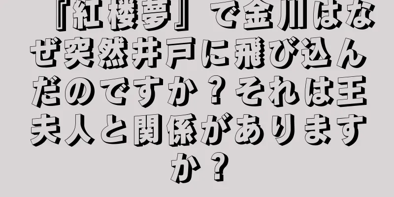 『紅楼夢』で金川はなぜ突然井戸に飛び込んだのですか？それは王夫人と関係がありますか？