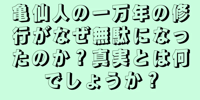 亀仙人の一万年の修行がなぜ無駄になったのか？真実とは何でしょうか？