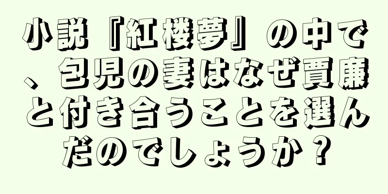小説『紅楼夢』の中で、包児の妻はなぜ賈廉と付き合うことを選んだのでしょうか？