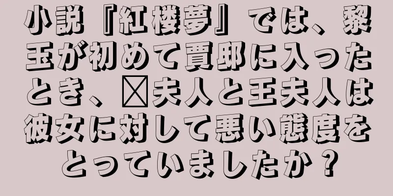 小説『紅楼夢』では、黎玉が初めて賈邸に入ったとき、邢夫人と王夫人は彼女に対して悪い態度をとっていましたか？