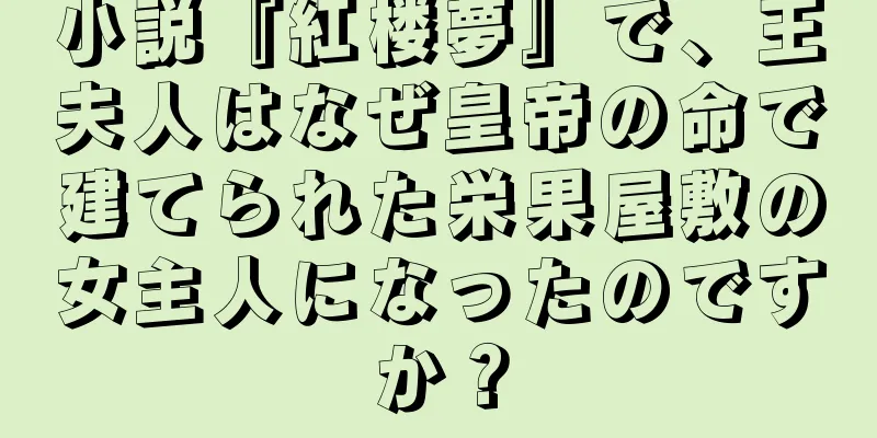 小説『紅楼夢』で、王夫人はなぜ皇帝の命で建てられた栄果屋敷の女主人になったのですか？