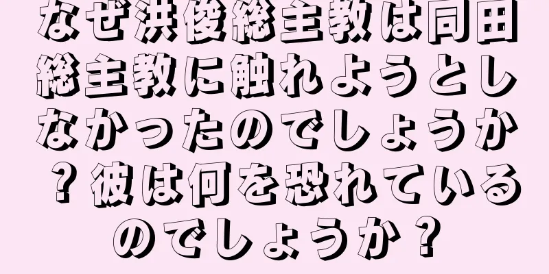 なぜ洪俊総主教は同田総主教に触れようとしなかったのでしょうか？彼は何を恐れているのでしょうか？