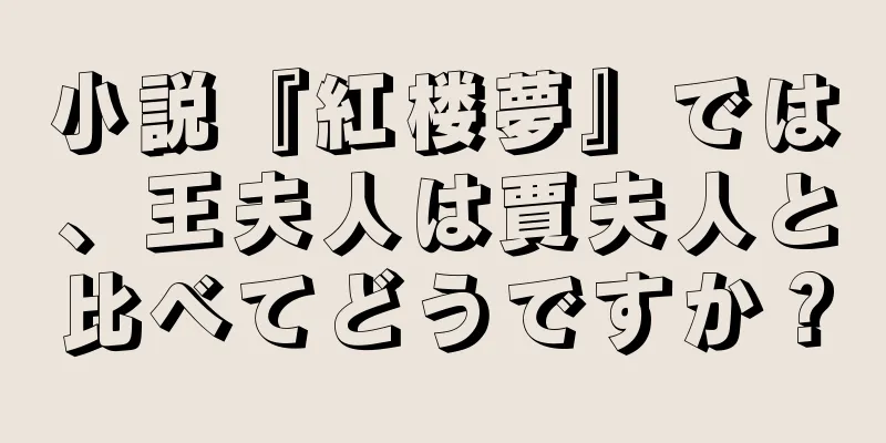 小説『紅楼夢』では、王夫人は賈夫人と比べてどうですか？